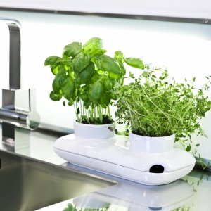 Kvetináč SAGAFORM Duo Herb