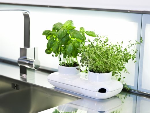 Kvetináč SAGAFORM Duo Herb