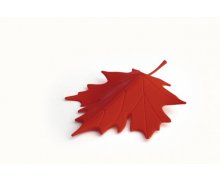 Zarážka do dverí Qualy Autumn - červená