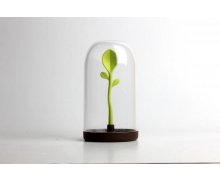 Dóza na potraviny s lyžičkou Qualy Sprout Jar