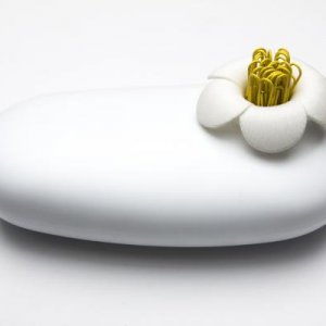 Multifunkčné púzdro QUALY Blossom Pebble Box - biela/biela