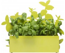 Stojan na bylinky SAGAFORM Form Herb Stand, zelený