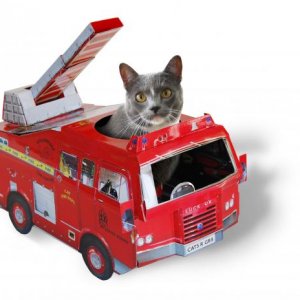 Hasičské auto pre mačku SUCK UK Cat Playhouse
