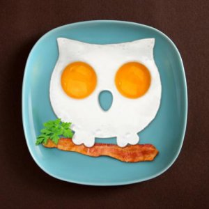 Forma na vajíčka FRED Funnyside Up - Sova