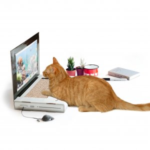 Škriabadlo / laptop pre mačku SUCK UK Cat Playhouse
