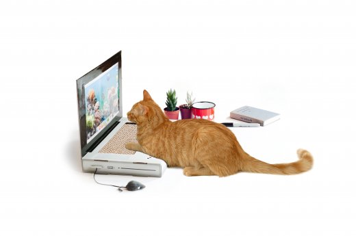Škriabadlo / laptop pre mačku SUCK UK Cat Playhouse