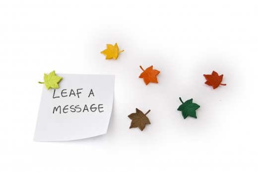 Sada magnetov QUALY Leaf a Message, (listy) 6 ks.