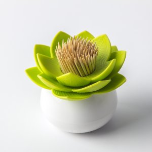 Stojan na špáradlá QUALY Lotus Toothpick Holder, bielo-zelený