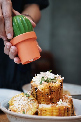 Mlynček na korenie/soľ QUALY Cactus, oranžový