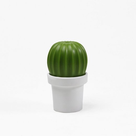 Dekoratívny mlynček na soľ/korenie QUALY Cactus, biely